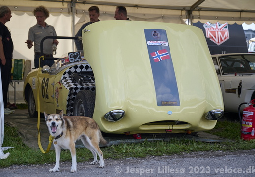 DSC 9003 (2251 visits) DSC 9003