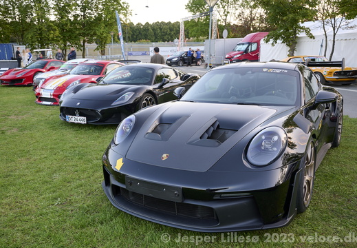 DSC 9088 (2445 visits) DSC 9088