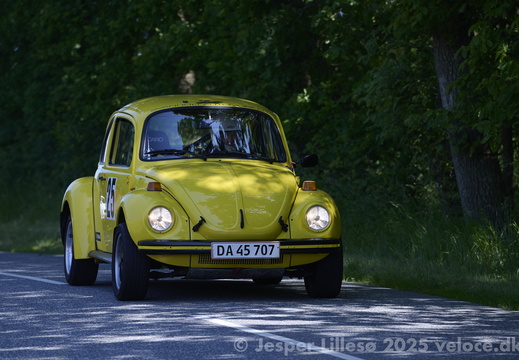 DSC 4491